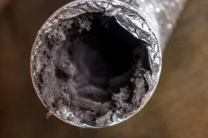 Exploring the Link Between Dryer Vent Cleaning and Mold Prevention: How Regular Maintenance Reduces Moisture Risks and Promotes Home Health